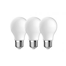 Energetic - Ampoules Led E27 2700k Lot De 3 - Nordlux