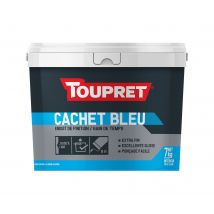 Enduit De Lissage En Pâte Gain De Temps Intérieur 7 Kg - Cachet Bleu Toupret