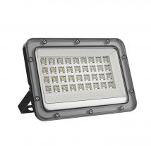 Projecteur Led Extérieur 30w - Forlight