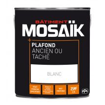 Mosaik - Peinture Plafond Ancien Ou Taché Glycéro Mat Blanc 2,5 L - Mosaïk