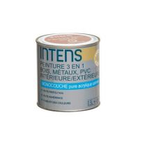 Peinture 3en1 Pvc, Bois Fer Acrylique Satin Gris Clair 0,5 L - Intens