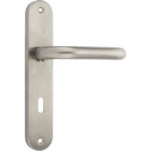 Ensemble Poignées De Porte Sur Plaque Entraxe 195 Mm Inox 304 Clé L Ugo - Chainey