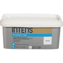 Peinture Intérieure Murs Et Plafonds Acrylique Monocouche Mat Blanc 2,5 L - Intens