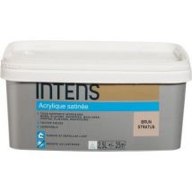 Peinture Intérieure Multi-supports Acrylique Monocouche Satin Brun Stratus 2.5 L - Intens