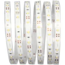 Kit De Ruban Led Étanche 12v 3 M - Arlux