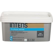 Peinture Intérieure Multi-supports Acrylique Monocouche Satin Gris Bakélite 2.5 L - Intens