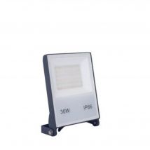Projecteur Led 30w - Forlight