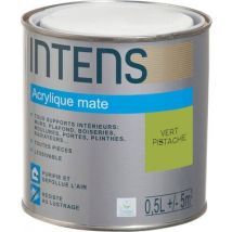 Peinture Intérieure Multi-supports Acrylique Monocouche Mate Vert Pistache 0,5 L - Intens