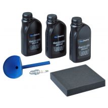 Sdmo - Kit D'entretien Pour Phoenix 4200 - Stanley