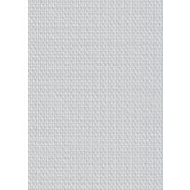Tassoglass - Toile De Verre Maille Standard 115g/m² L.1 X L.50 M G135n - Tassoglas