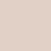 Peinture Intérieure Mat Beige Café Au Lait Teintée En Machine 10 L Altea - Gauthier