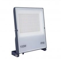 Projecteur Led 100w - Forlight