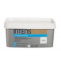 Intens - Peinture Acrylique Satin Moka Monocouche