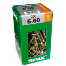 Bricoman - Vis Bois 5x60 Torx 250 Pcs