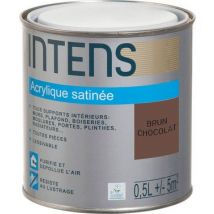 Peinture Intérieure Multi-supports Acrylique Monocouche Satin Brun Chocolat 0,5 L - Intens