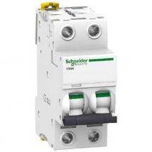 Schneider Electric - disjoncteur - schneider acti9 ic60h - 2 pôles - 10 ampères - courbe c - a9f87210
