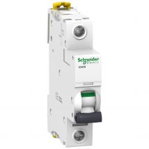 Schneider Electric - A9F75101 Schneider Disjoncteur unipolaire 1P 1A Courbe D 50kA Acti9 IC60N