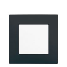 Siemens - Va et Vient Blanc Delta Viva + Plaque Anthracite