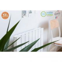 Radiateur à inertie sèche fonte - Beladoo - Noirot - Horizontal - 1000 W