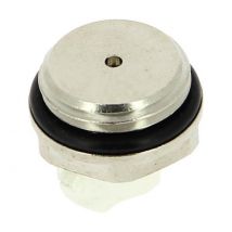 Watts - Bouchon purgeur chromé pour radiateur 15-21