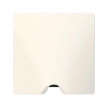 Legrand - Sortie de câble IP21 DOOXIE livrée complète avec plaque finition blanc - LEGRAND - 600323