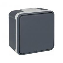 Eur'ohm - Bouton poussoir 10A - IP55 - OXXO Couleur Gris