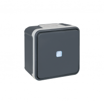 Eur'ohm - Bouton poussoir lumineux 10A - IP55 - OXXO Couleur Gris
