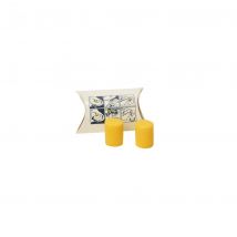 Coverguard - Bouchons anti-bruit PVC EAR Classic (X250) - COVERGUARD