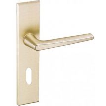 Vachette - Ensemble Riv-Junior type clé L finition champagne - VACHETTE - 014405