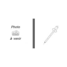Sachet rivet fixation des verrous automatiques pour tablier Aluminium - VA - Bubendorff