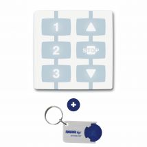 Télécommande murale Nice WM003C1G + 1 porte-clés Domobip