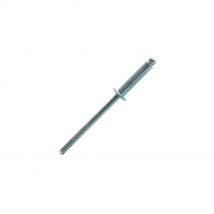 Scell-it - 500 rivets aveugles acier TP