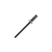 Scell-it - 200 rivets aveugles étanches alu/acier TP