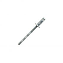 Scell-it - 250 rivets de structure standards