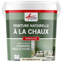 Arcane Industries - PEINTURE A LA CHAUX NATURELLE ET SAINE - NUANCES MINERALES CHAUX - 30 m² (5 kg en 1 couche) - Champagne Jaune Clair - ARCANE 