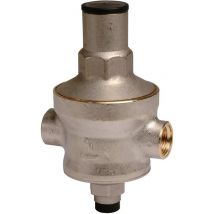 Détendeur À Membrane Rinox Ff - 2' - Rbm