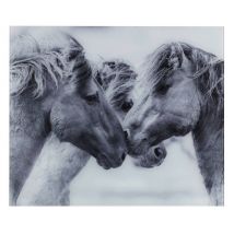 Plaque De Protection, 50 X 60 Cm, Venko, Wenko