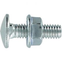 Boulon Japy - Ram - Tête Ronde Collet Carré - Trcc - Acier Zingué - 6 X 12 Mm - Filetage Total - Boîte De 100
