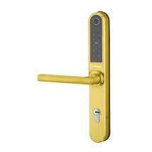 Garniture De Porte Intelock Multi Thirard