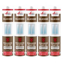 Arcane Industries - Mastic Silicone intérieur / extérieur pour fenêtres et menuiseries : ARCAMASTIC BATIMENT Transparent - 300 ml x 5 - ARCANE 