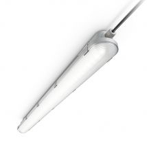 Philips Réglette LED Étanche CoreLine WT120C G2 24.3W 3400lm - 840 Blanc Froid | 150cm