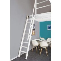 Matisere - Echelle de meunier rabattable : 55cm de large - Hauteur à franchir 3m - Couleur : Blanc (RAL 9003) - MSP/WW