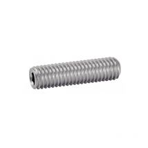 Vis À Métaux Sans Tête Hexagonale Creuse Bout Cuvette Inox A2 Din 916 5x6 Boîte De 100 Acton 622075x6