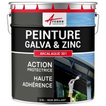 Peinture Galva Zinc Toiture Gouttière : Arcalaque 301. Noir Foncé Brillant - Ral 9005 - 2.5 L - Arcane Industries