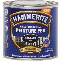 Peinture Brillante Hammerite - Boîte 250 Ml - Noir