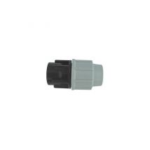 Raccord Femelle Plasson Pour Tuyau Polyéthylène 1"1/4 X 32