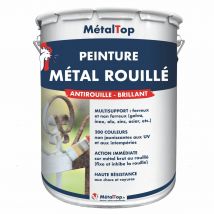 Peinture Metal Rouille - Metaltop - Bleu Violet - Ral 5000 - Pot 15l