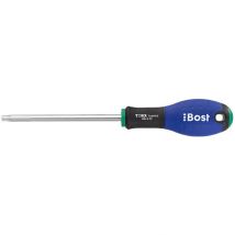 Tournevis Bost - Lame Resistorx Expert - Tt25 X 100 Mm - 624830