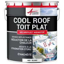 Cool Roof : Peinture Toit Plat Réfléchissante Arcareflect Aquastop - Spéciale Stagnation D'eau Blanc - 4 Kg - Arcane Industries