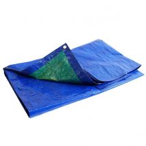 Bâche Jardin 6x10 M - Tecplast - Sr150jd - Bleue Et Verte - Haute Qualité - Bâche D'extérieur Imperméable Avec Oeillets